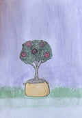 Rosebush